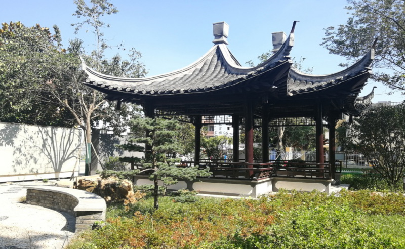 杨庄河综合整治工程04